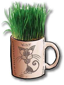 Grass in a coffee mug